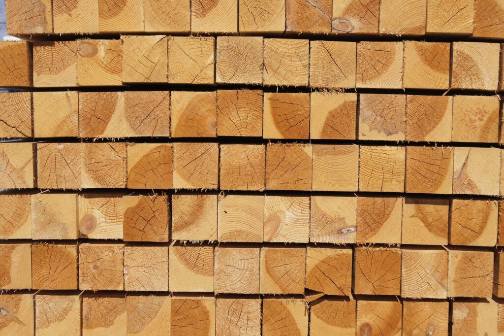 樹木から木材への旅：木材生産の過程を紐解く